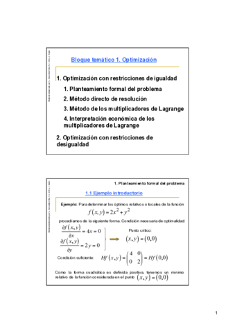 Bloc-1-Tema-1-Optimitzacio-rest-igualtat-Complet.pdf