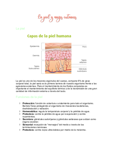 La-piel-y-anejos-cutaneos.pdf