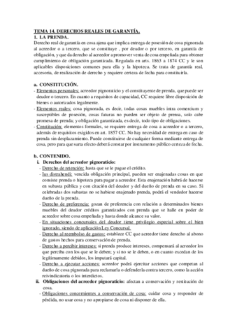 TEMA-14-civil.pdf