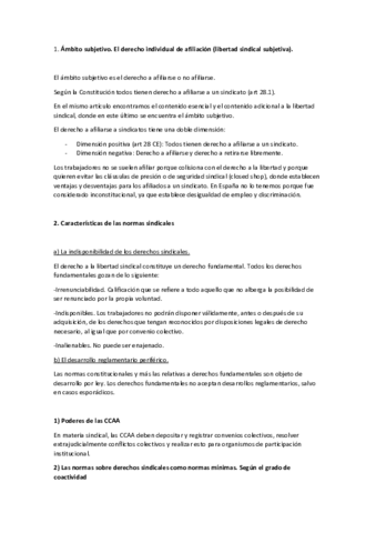 PREGUNTAS-RESUELTAS-DERECHO-SINDICAL.pdf