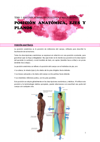 TEMA-1-posicion-anatomica-ejes-planos.pdf