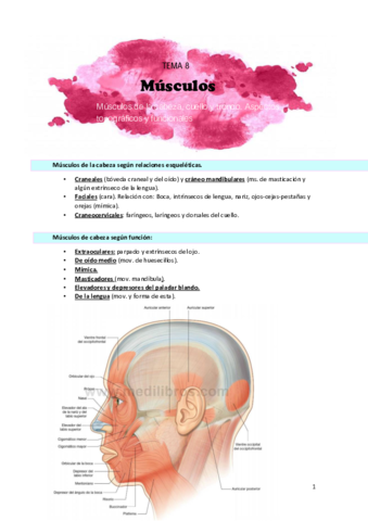 TEMA-8.pdf