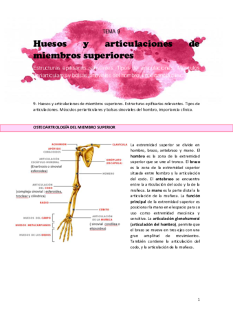 TEMA-9.pdf