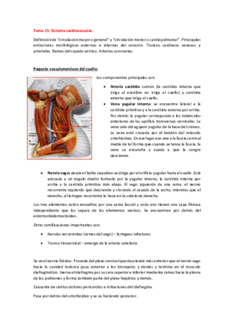 Tema-15-y-16.pdf