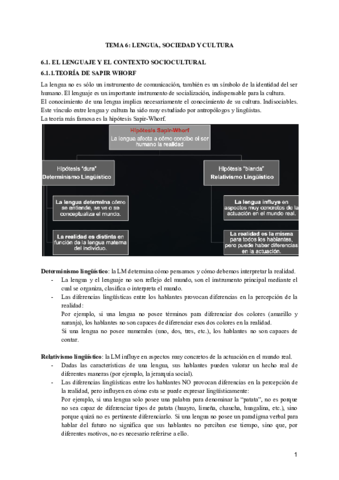 Resumen-tema-6.pdf