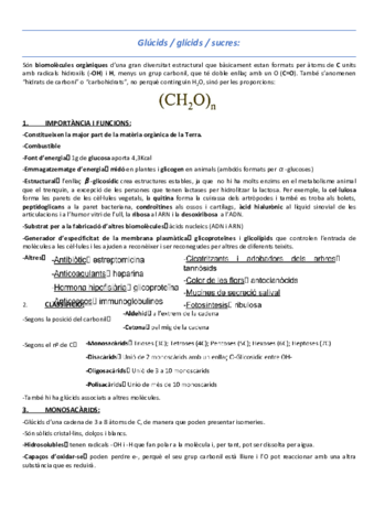 T2-Glucids-glicids-sucres.pdf