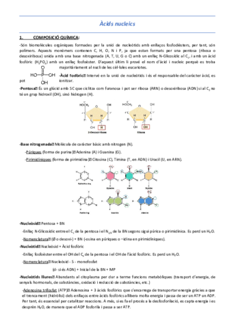 T5-Acids-nucleics.pdf