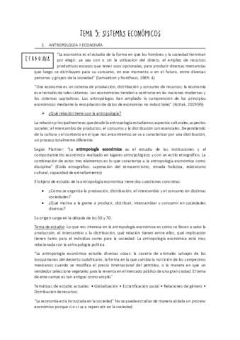 TEMA-5.pdf