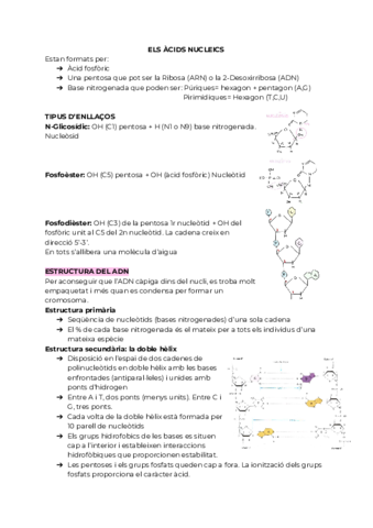 ELS-ACIDS-NUCLEICS-1.pdf