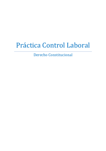 Práctica Control Laboral.pdf