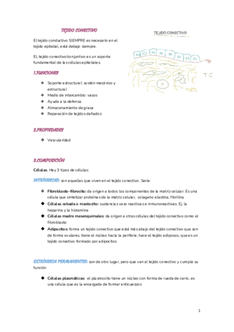 Apuntes-de-Histologia.pdf