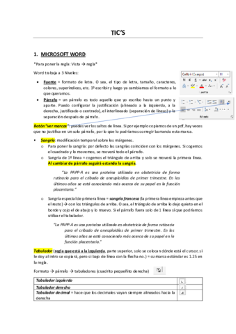 TICs.pdf