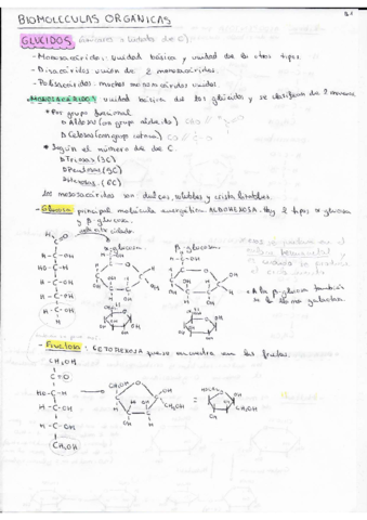 BIOMOLECULAS-ORGANICAS.pdf