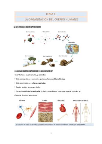 BIOLOGIA-TEMA-1.pdf