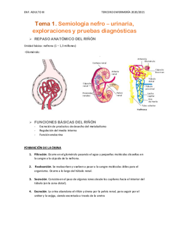 Temario-completo-ADULTO-III.pdf