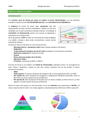TEMA-33-Cancer-de-mama.pdf