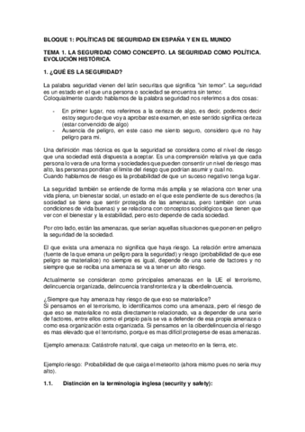 TEMAS-POLITICAS-DE-SEGURIDAD.pdf