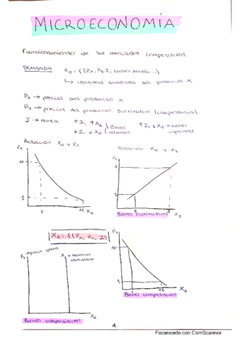 Apuntes-microeconomia.pdf