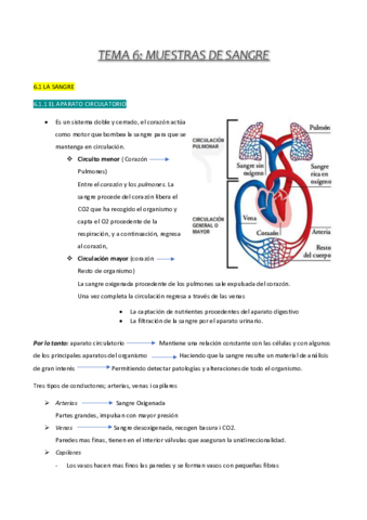 Tema-6.pdf