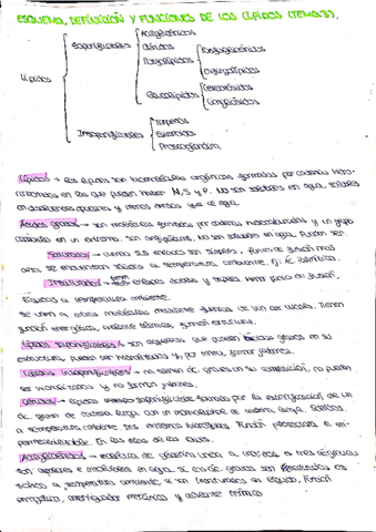 BIOLOGIA-TEMA-3.pdf