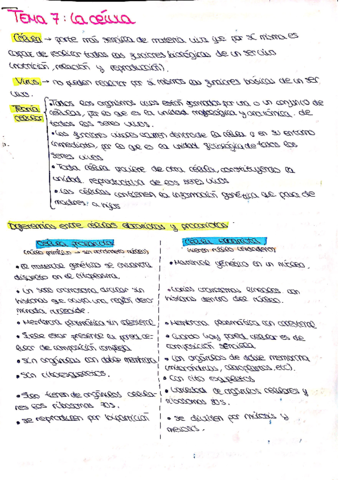 BIOLOGIA-TEMA-7.pdf