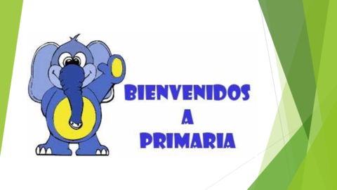 PRIMARIA POWER POINT (1).pdf