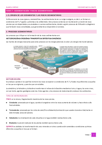 TEMA-7-SEDIMENTACION-Y-ROCAS-SEDIMENTARIAS-j.pdf