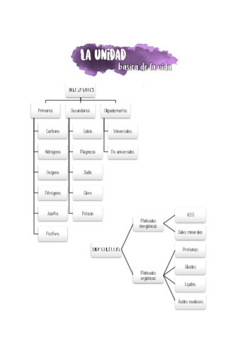 La-unidad-basica-de-la-vida.pdf