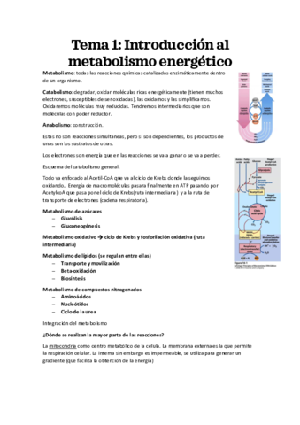 Todo-Bioquimica-.pdf