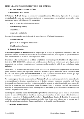 Tema-9-ACCIONES-PROTECTORAS-DEL-DOMINIO.pdf