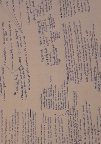 Aristoteles-teoria-.pdf