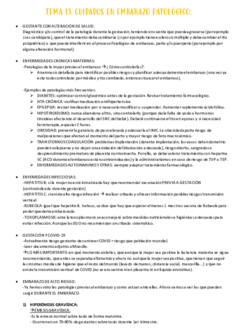 TEMA-13.pdf