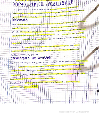 tema-12-literatura.pdf