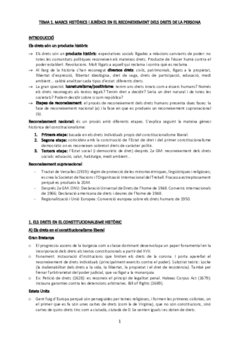 dretconstitucional.pdf