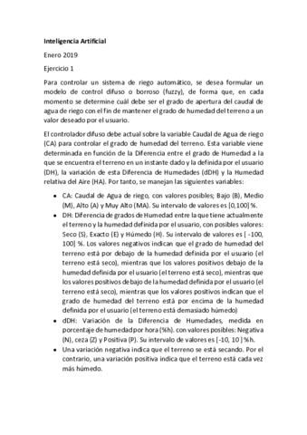 EXAMENENERO2019.pdf