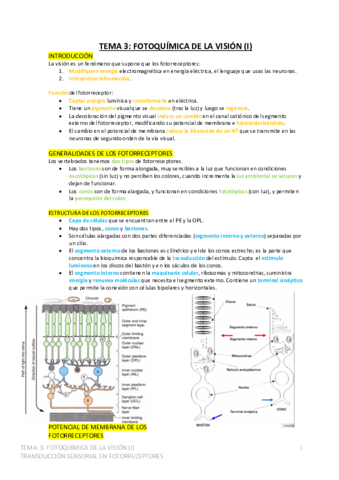 T3.pdf