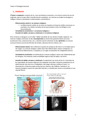 Tema-4.pdf