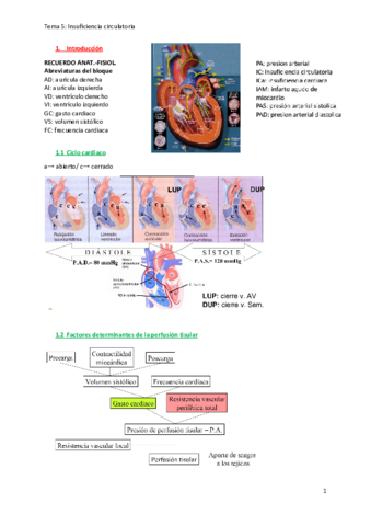 Tema-5.pdf