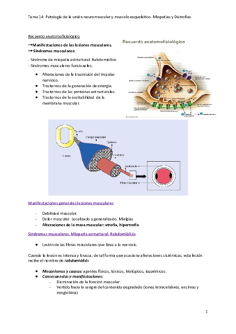 Tema-14.pdf