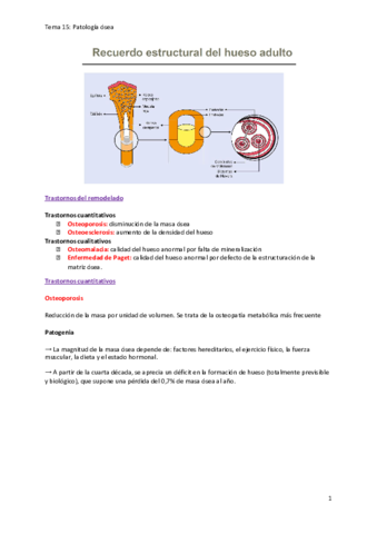 Tema-15.pdf