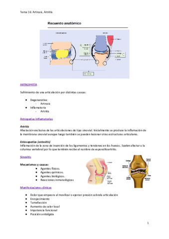 Tema-16.pdf