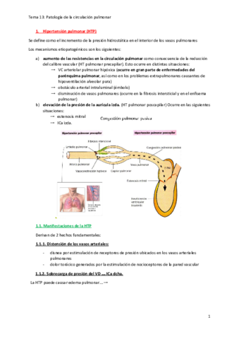 Tema-13.pdf