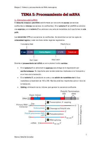 TEMA-5.pdf