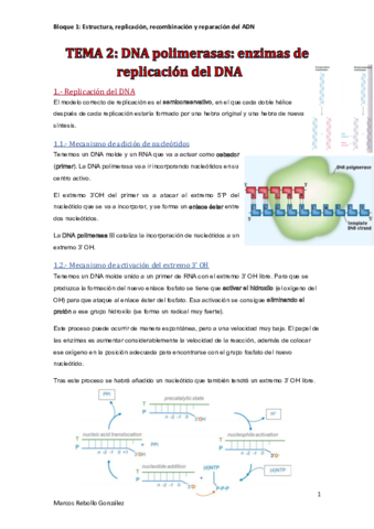 TEMA-2.pdf