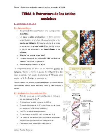 TEMA-1.pdf