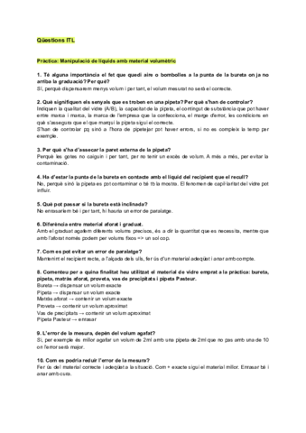 PreguntesQuestions-ITL-per-al-final-1.pdf