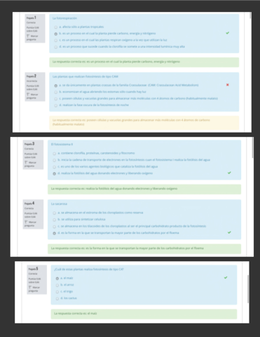 Autoevaluacion-Temas-456.pdf