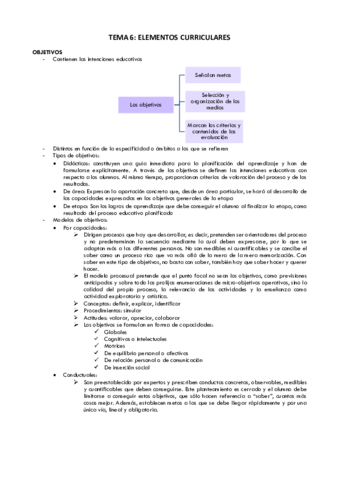 TEMA-6-didactica.pdf