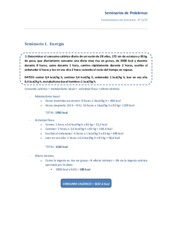Problemas-resueltos-seminarios.pdf