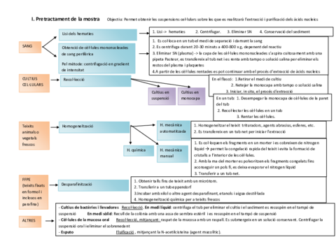 Act-esquema-Pretractament-M3-UF2-Tema-3-20-21.pdf
